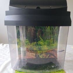 2.5 Gallons Mini Aquarium With A Light Hood, Undergravel Filter, Background 