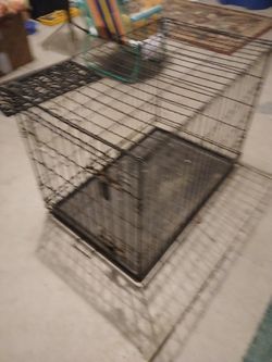 Animal Cages