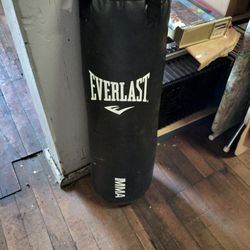Everlast Heavy  Bag