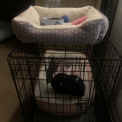 puppy items