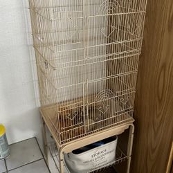 Bird Cage