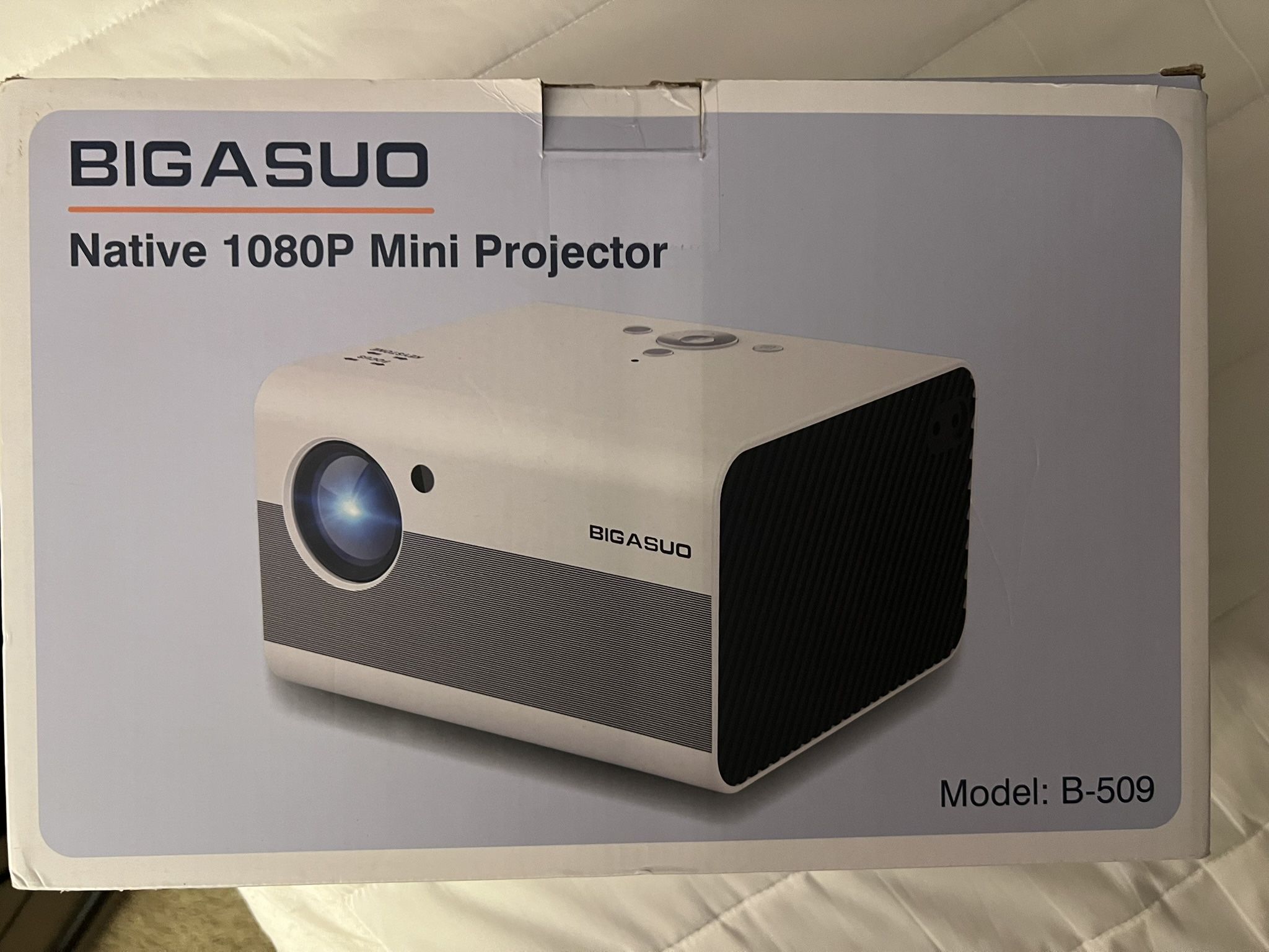 Projector / Screen