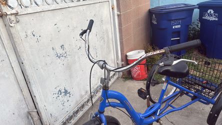 Adult Trike