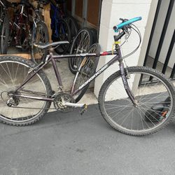 GT Mongoose Mountain Bike 