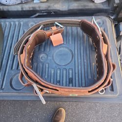 Baseline Climbing Belt