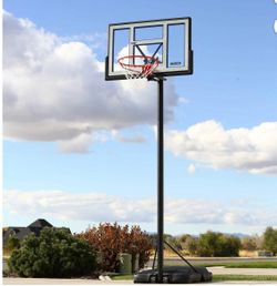 Lifetime Basketball Hoop