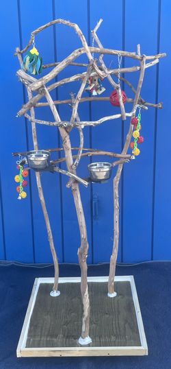 African Grey : Amazon Parrot Perch Tree / Artsy n Funky .., A Birdee Must Have ! Breeder Direct Low Price!