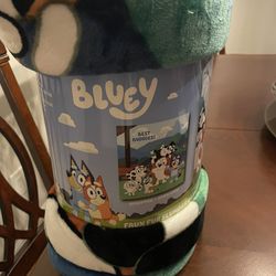 BLUEY, Childrens Sleeping Bag.  New