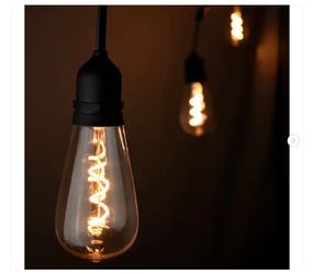 Hampton Bay 12-Light 24 ft. Outdoor/Indoor Black Plug-in ST64 Novelty Bulb LED String Light - New