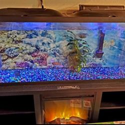 55 Gallon Aquarium + Stand with Heater