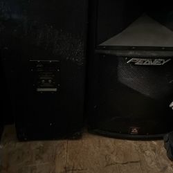 Speakers Peavey 15s Model BWX