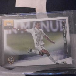 LA GALAXY CARD