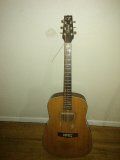 Vantage Dreadnought Acoustic guitar VS-50