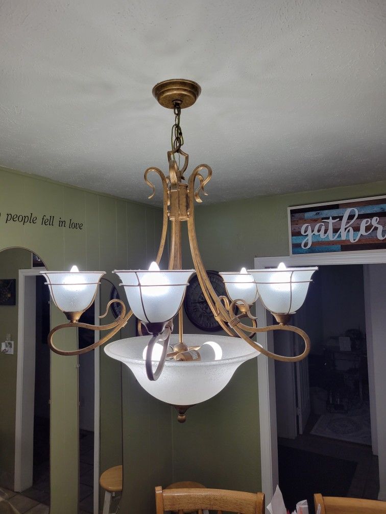 Light Fixture  (Chandelier style )