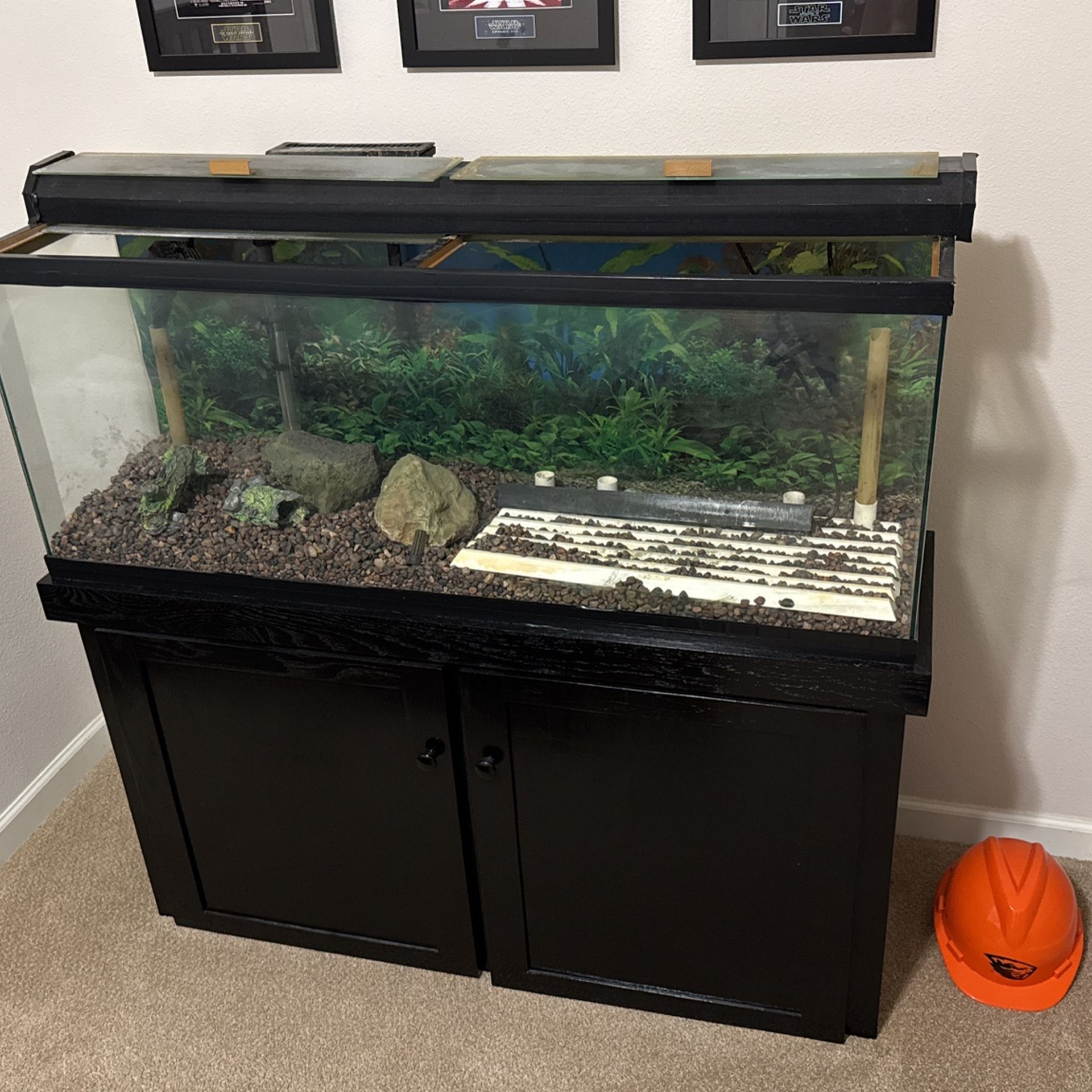 55 Gallon Fish Tank