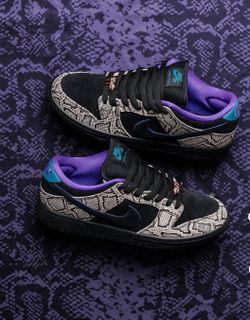 NIKE SB DUNK DASHAWN JORDAN COPPERHEAD