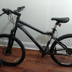 26" Giant Front Back Disc...Great Shape But Needs A Detailer 