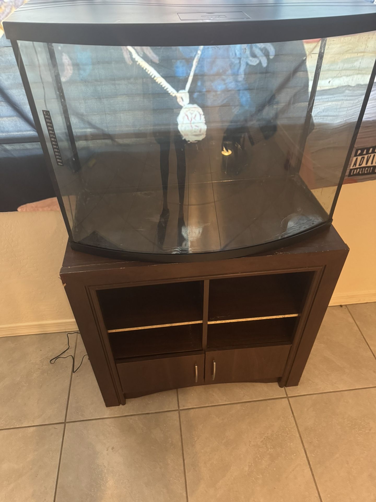 Bow Front Tank And Fish Supplies