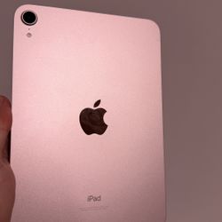 iPad mini 6th generation 256 GB