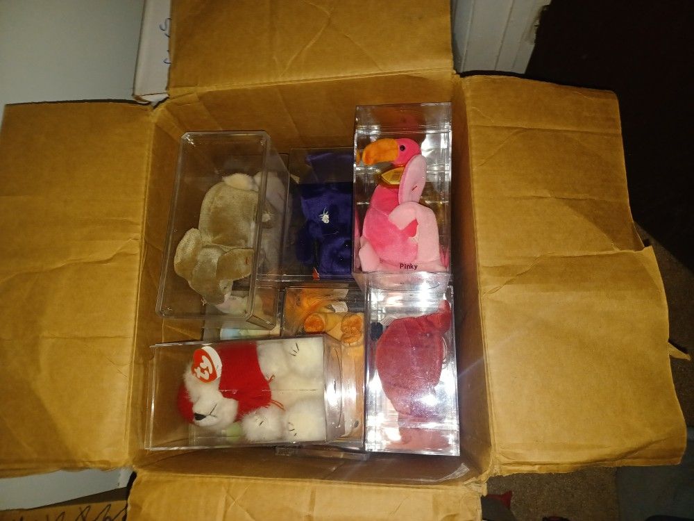 Beanie Baby Collection