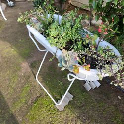 Big Plant Yard Sale Going On All Weekend Open Now!!!!!