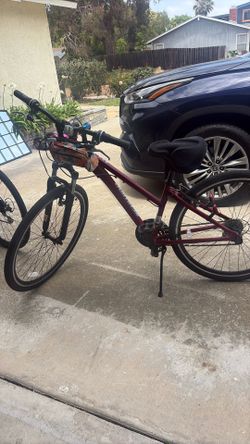 Schwinn Bike- Adult