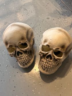 Decorative Plastic  Skull Props – Set of 2