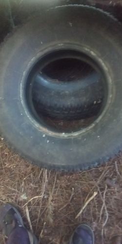 Tires (signet Winter Trax Studed New) 