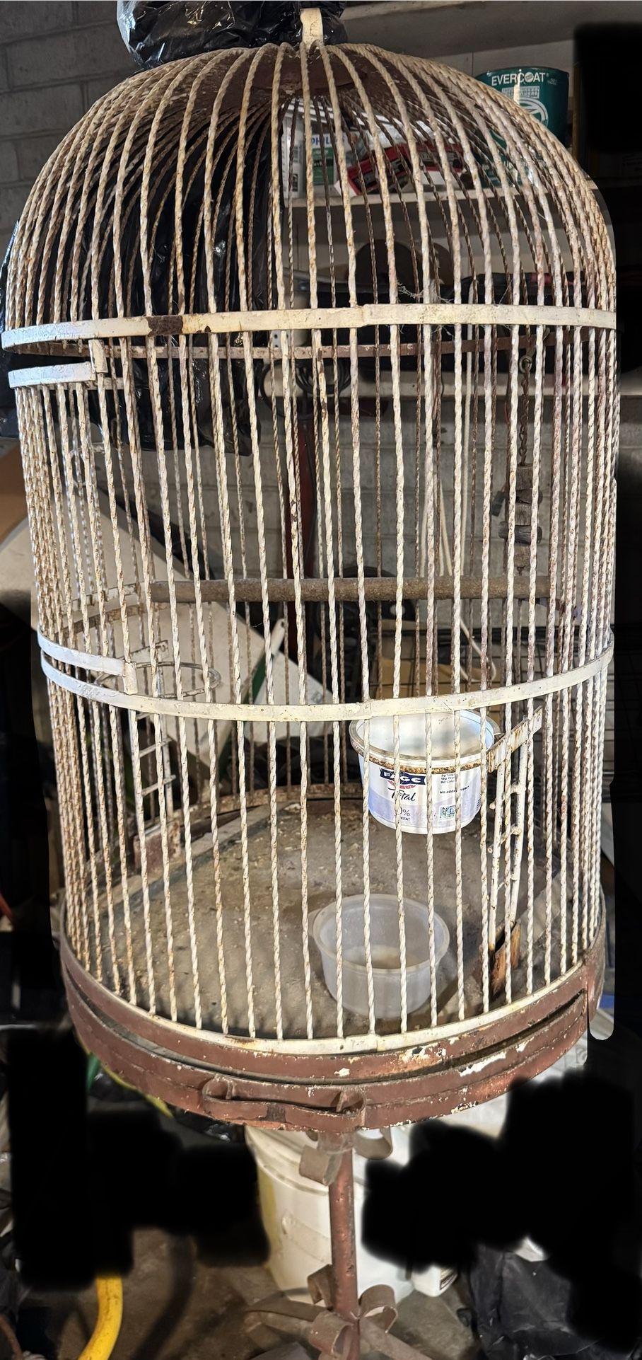Free Bird Cage