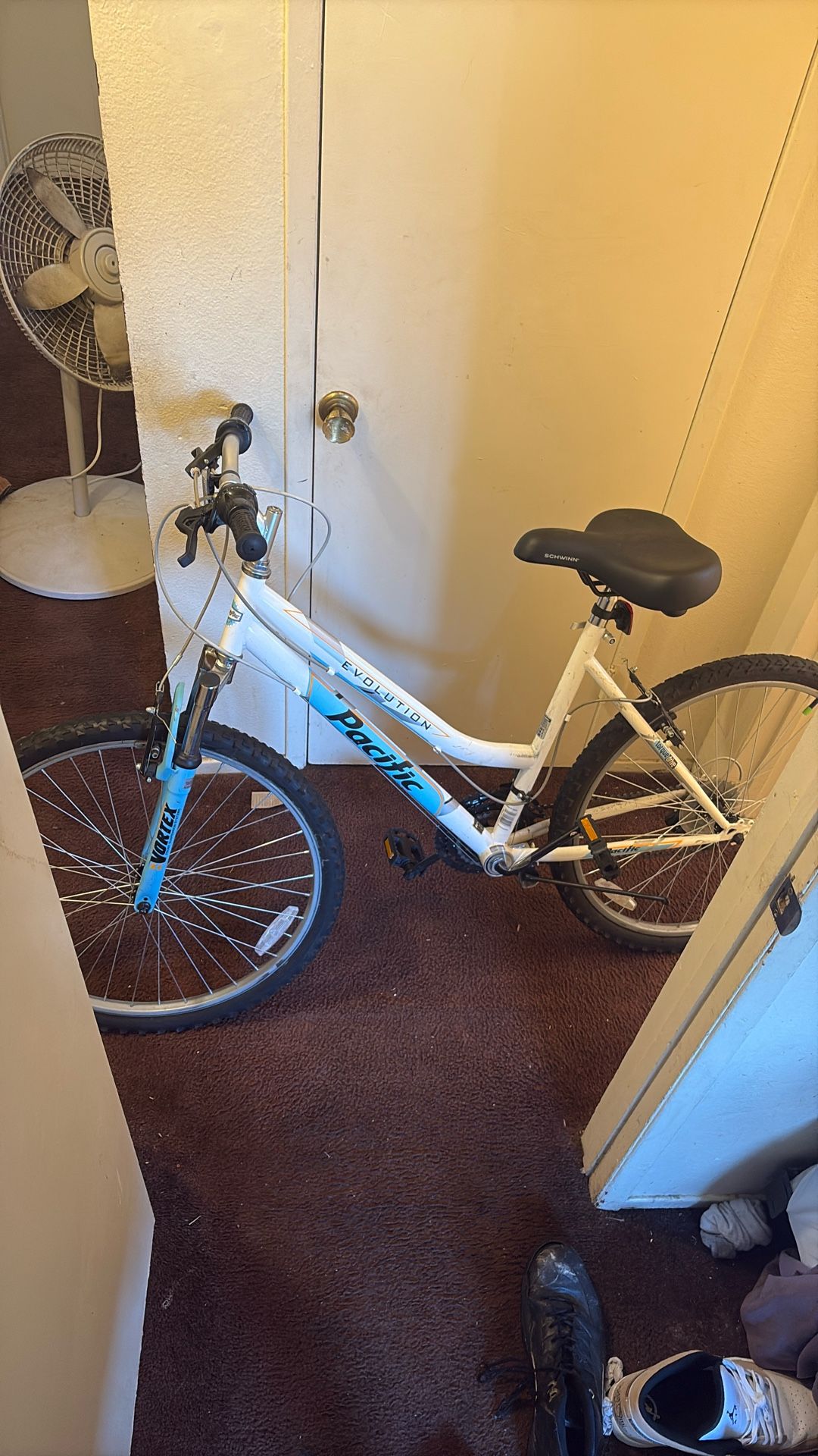 Evolution Pacific Mountain Bike