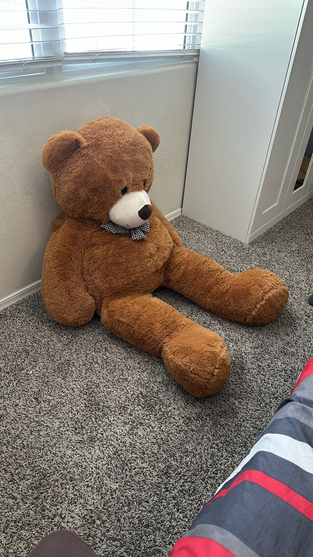 Teddy Bear