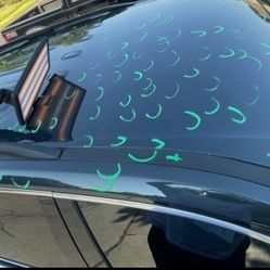 Paintless-Dent-Repair