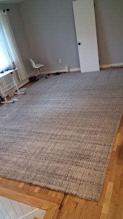 Safavieh 10' x 14' rug