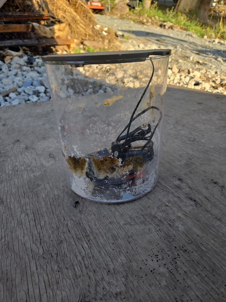 Fish Tank For Sale