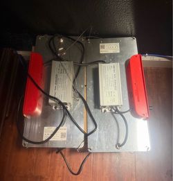 Fish light Aglex