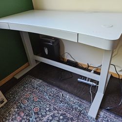 Twinstar Home Electric Adjustable Desk