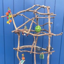 African Grey / Amazon Parrot Perch Tree … Made If Rustic Artsy Ribbon Wood - Lasts Forever!!