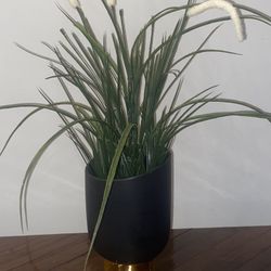 Artificial Plant In The Modern Black Ceramic Pot With The Gold Accent H20”