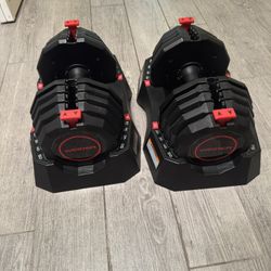 Weider 50lbs Adjustable Dumbbell Set 