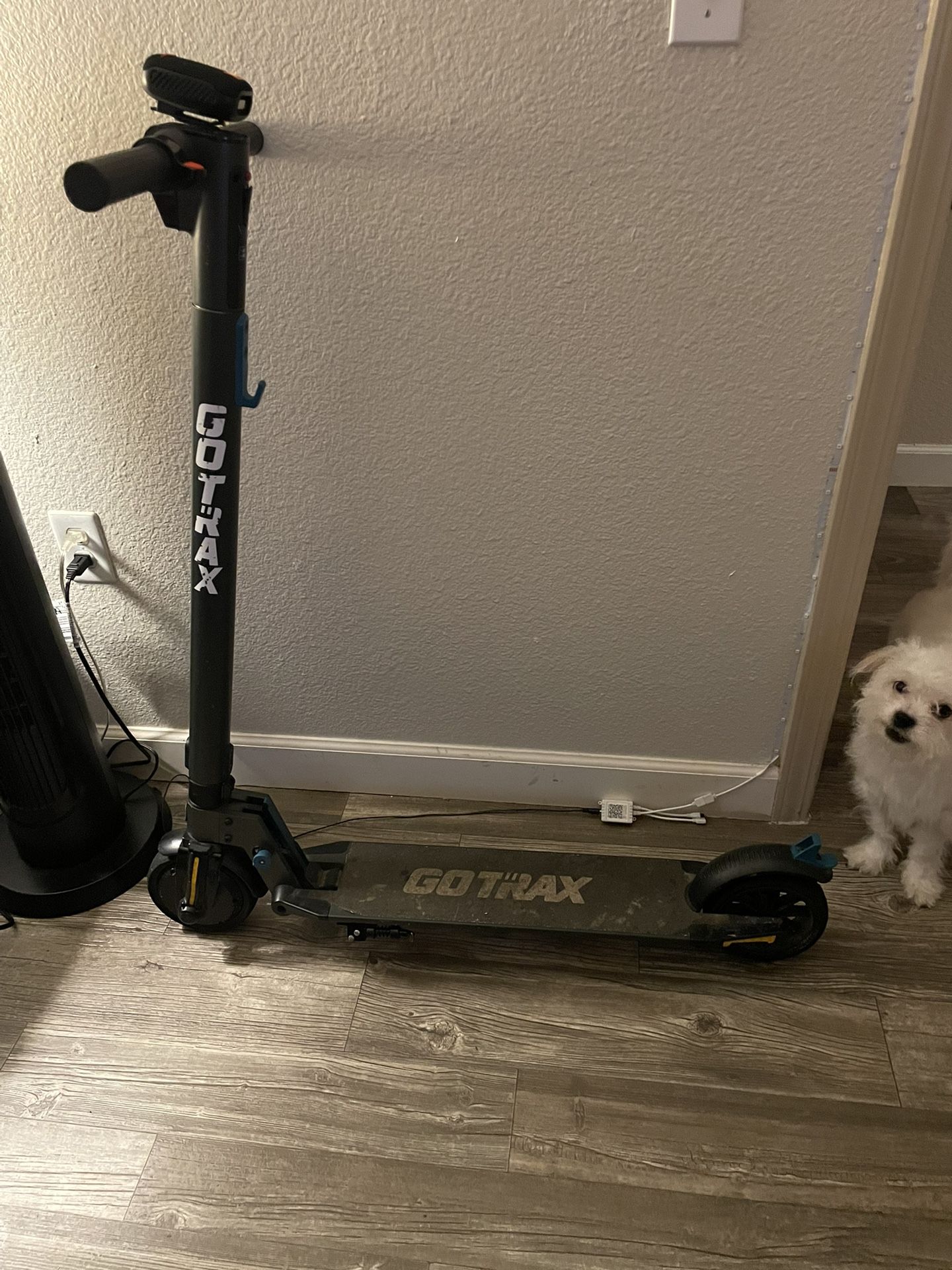 Electric Scooter GoTrax 