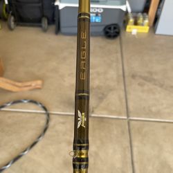 Fenwick Eagle Casting rod 