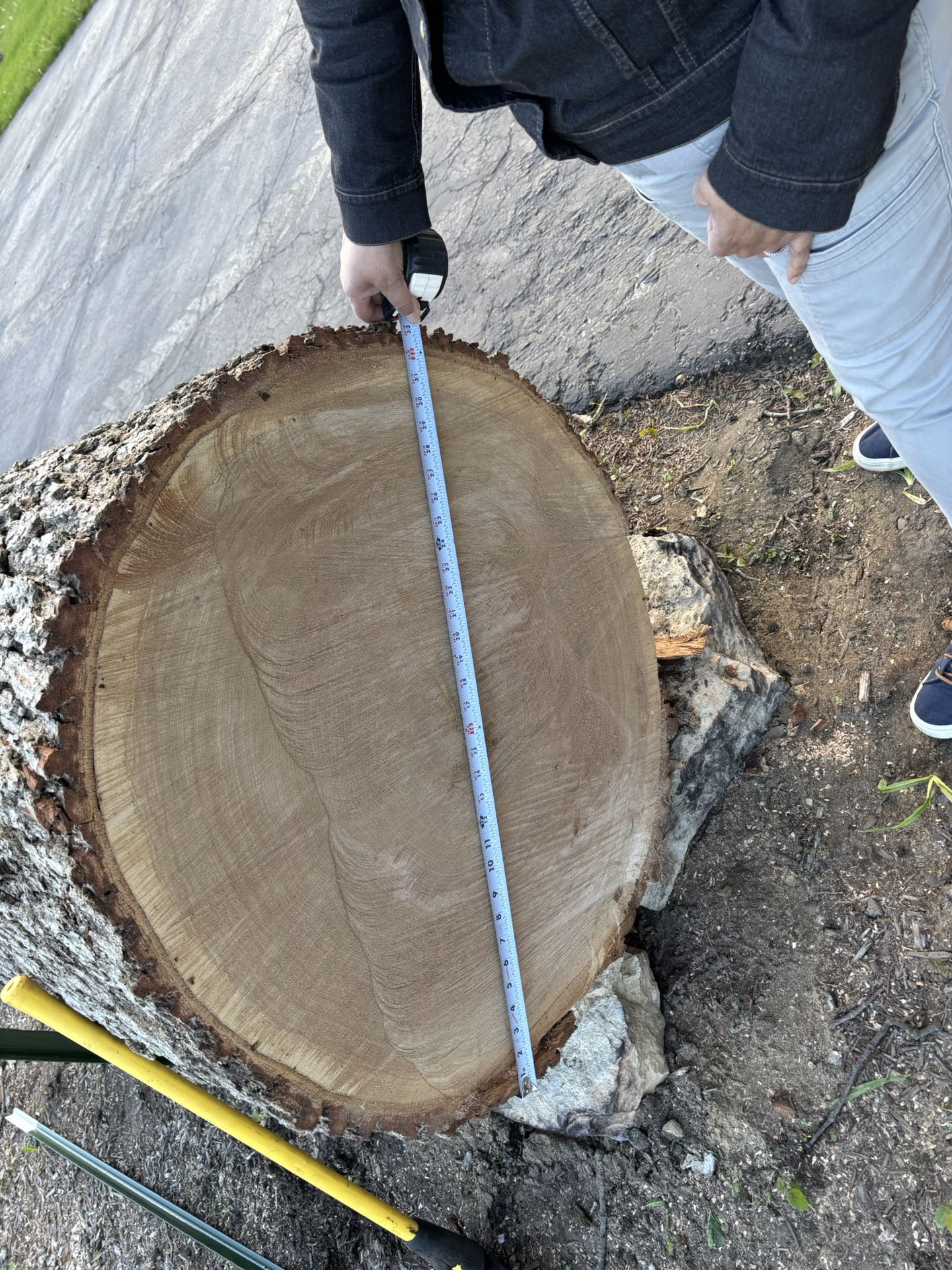 Oak for sale