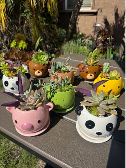 Small cute lil animal planters