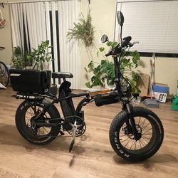 Rad bike Mini