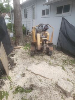 Stump Grinding 