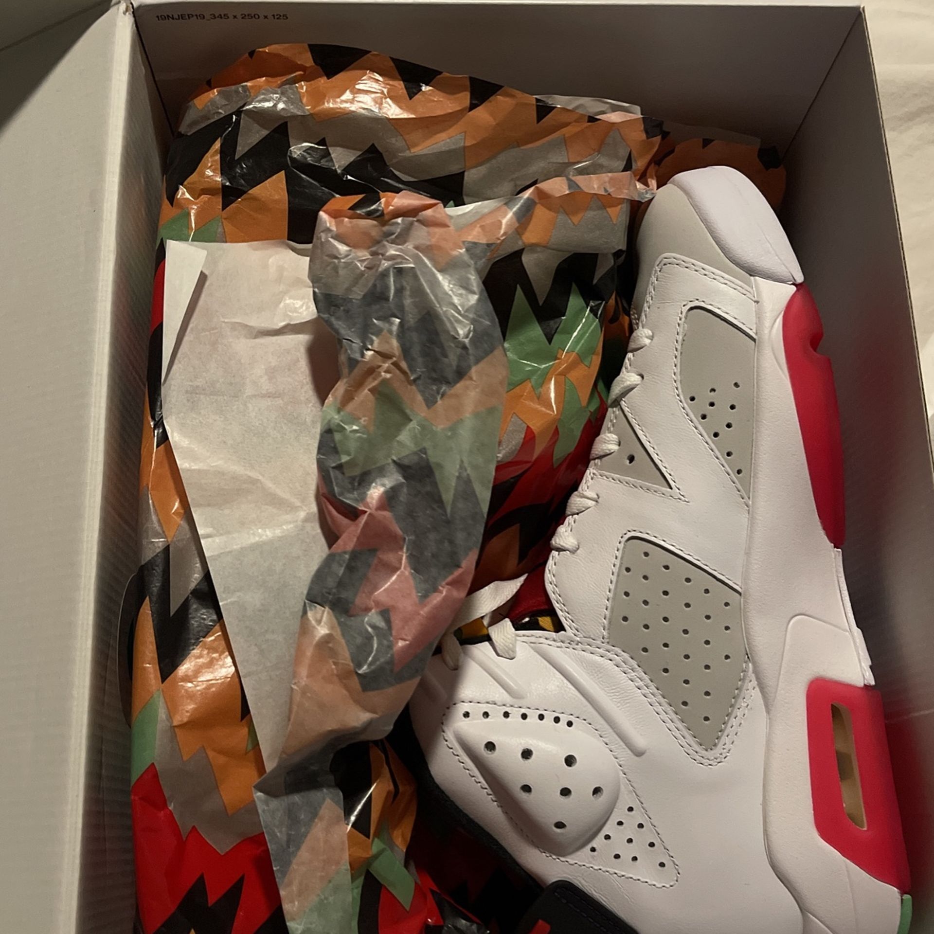 retro 6 hare