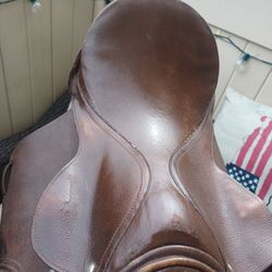 Horse Saddle Perfection