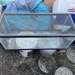  Title: 20-Gallon Aquarium w/ Vented Screen Top