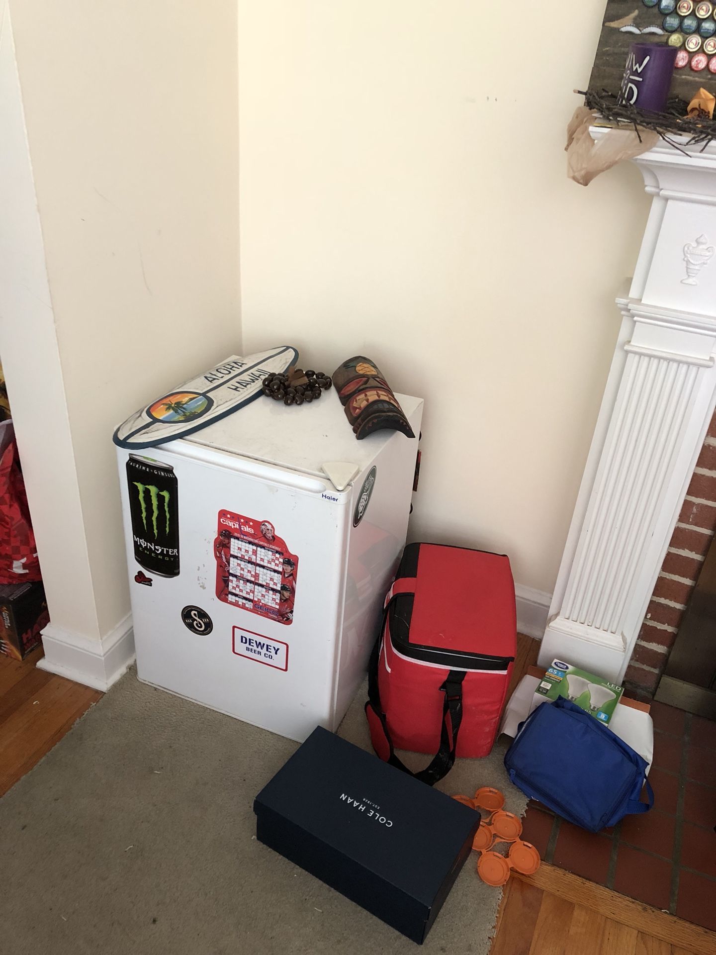 Mini Fridge