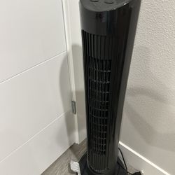 Fan 